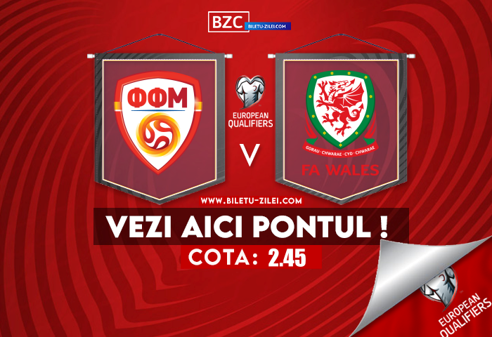 macedonia de nord tara galilor ponturi pariuri 25032025